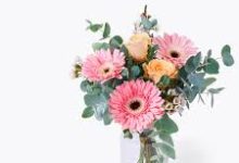 香港节点的手机加速器-香港节点加速器推荐