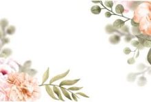 加速器香港节点破解版-香港节点加速器推荐