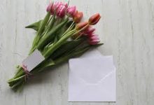 香港高防节点五-香港节点加速器推荐