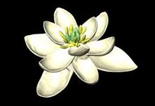 gcp香港节点显示无资源可用-香港节点加速器推荐