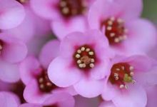 gcp香港节点创建错误-香港节点加速器推荐