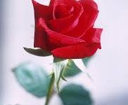 香港互联网中心节点-香港节点加速器推荐