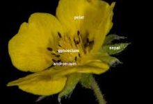 香港cdn加速节点-香港节点加速器推荐