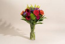 可以连接香港节点的加速器-香港节点加速器推荐