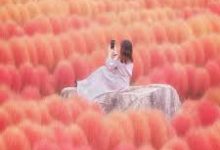 steam香港节点叫什么-香港节点加速器推荐