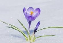 战争前线香港节点没人-香港节点加速器推荐