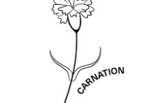 gta5只能连香港节点吗-香港节点加速器推荐