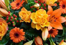 香港街节点-香港节点加速器推荐