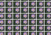 uu加速盒香港节点-香港节点加速器推荐