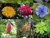 香港回归时间节点-香港节点加速器推荐