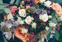 香港税报税节点-香港节点加速器推荐