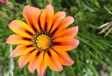 国内怎么上Instagram,能用的香港梯子节点上外网-香港节点加速器推荐