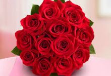 如何在苹果手机iPhone或iPad（iOS）上设置VPN，如何添加小火箭梯子可以使用的香港节点-香港节点加速器推荐