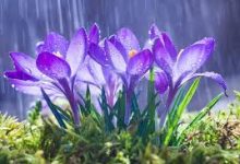 可观看海外Netflix 的VPN稳定能看奈飞的香港机场节点-香港节点加速器推荐