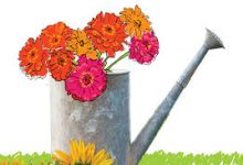 steamuu加速器只有香港节点-香港节点加速器推荐