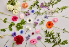 绝地求生香港节点玩哪个服-香港节点加速器推荐