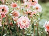 香港vpn-香港节点加速器推荐