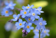 香港vpn主机提供解析域名-香港节点加速器推荐