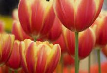 香港vpn服务器厂家批发-香港节点加速器推荐