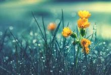 连接香港的vpn服务器-香港节点加速器推荐