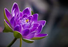 为什么我的香港vpn连接不上-香港节点加速器推荐