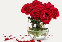 香港vpn服务器为什么选择-香港节点加速器推荐