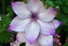 已经用香港电话注册了也有vpn-香港节点加速器推荐