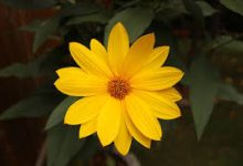 国内怎么打开Disney+,看美剧可以用的香港节点加速器-香港节点加速器推荐