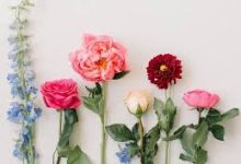 origin怎么挂香港vpn-香港节点加速器推荐