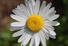 是需要挂香港vpn才能玩吗-香港节点加速器推荐