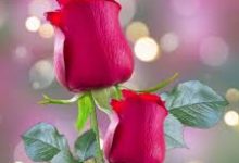 香港linux服务器设置vpn-香港节点加速器推荐