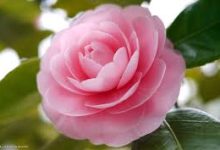 vpn是香港线路-香港节点加速器推荐