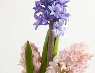 用vpn香港一会就封ip了-香港节点加速器推荐