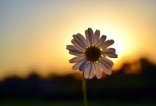 香港虚拟主机搭建vpn-香港节点加速器推荐