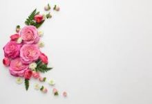 小红书B站免费推荐最好用的机场clash有稳定能用的香港节点-香港节点加速器推荐