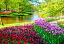 阿里云 香港节点 翻墙-香港节点加速器推荐