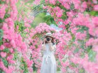 steam哪个节点是香港-香港节点加速器推荐