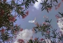 gta5 香港节点-香港节点加速器推荐