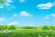 ss香港奈飞节点-香港节点加速器推荐