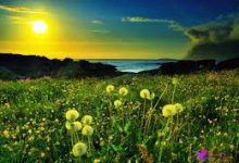 aws有没有香港节点-香港节点加速器推荐