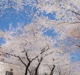 steam香港节点怎么设置-香港节点加速器推荐