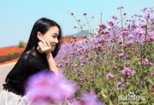 香港台湾节点-香港节点加速器推荐