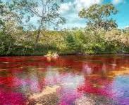 日本节点好还是香港-香港节点加速器推荐