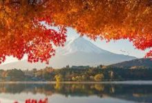 微软公有云香港节点-香港节点加速器推荐