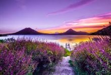 u广东节点香港-香港节点加速器推荐