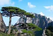 v2ray免费香港节点-香港节点加速器推荐