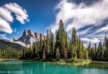 迅游有香港的节点-香港节点加速器推荐