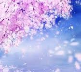 网易uu只能连香港节点-香港节点加速器推荐