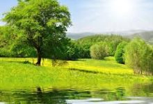 uu加速器为什么只有香港节点-香港节点加速器推荐