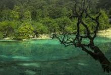 为什么香港节点看不了-香港节点加速器推荐